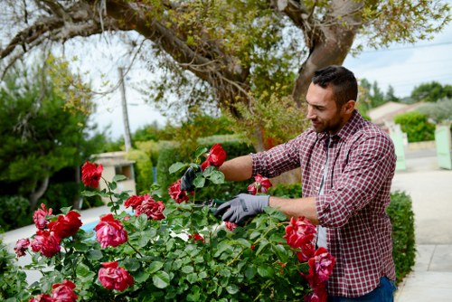 Professionals performing garden clearance in Kings Cross