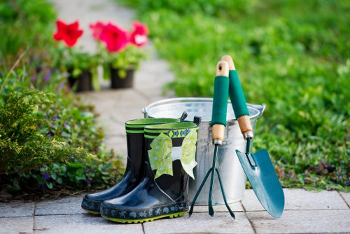 Clear and neat garden after professional clearance