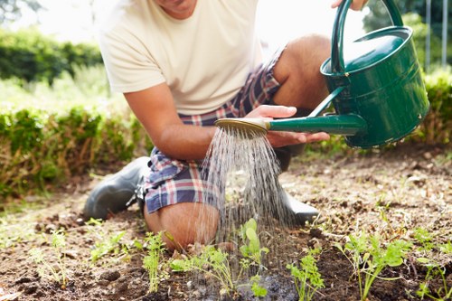 Garden clearance process with equipment and tools