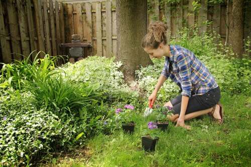 Professional gardener trimming a hedge with specialized tools