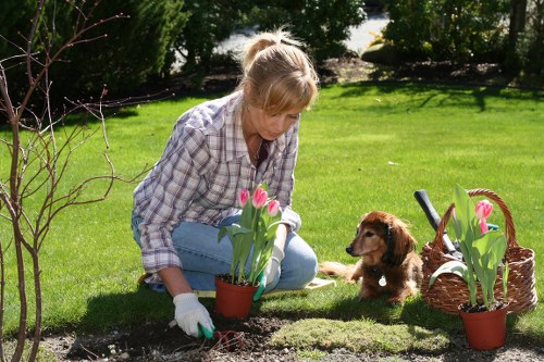 Professional garden maintenance service at work in Kings Cross