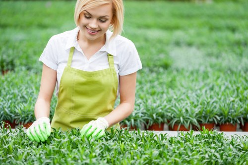 Various types of hedges suitable for urban gardens