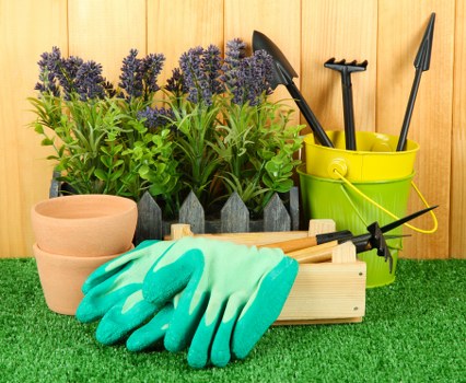 Professional tree pruning services at Kings Cross
